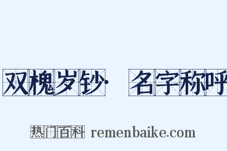 双槐岁钞·名字称呼是什么意思的图片